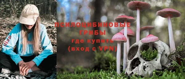меф Арсеньев