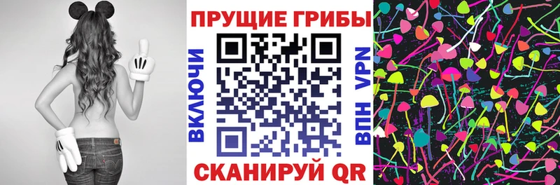 Купить  Адыгейск  Галлюциногенные грибы MAGIC MUSHROOMS 